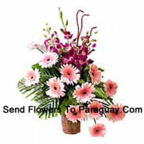 Sensational Gerberas with Orchids