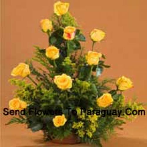 12 Charming Yellow Roses