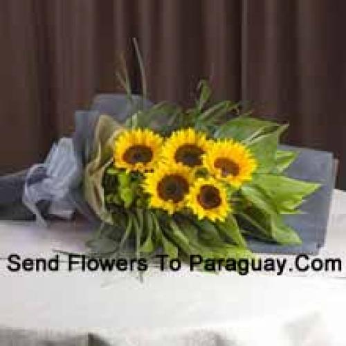 Handpicked Sunflowers Bunch