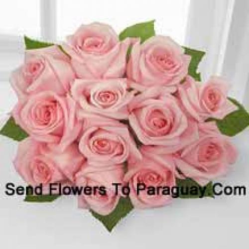 12 Beautiful Pink Roses