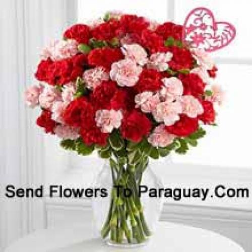 36 Elegant Carnations